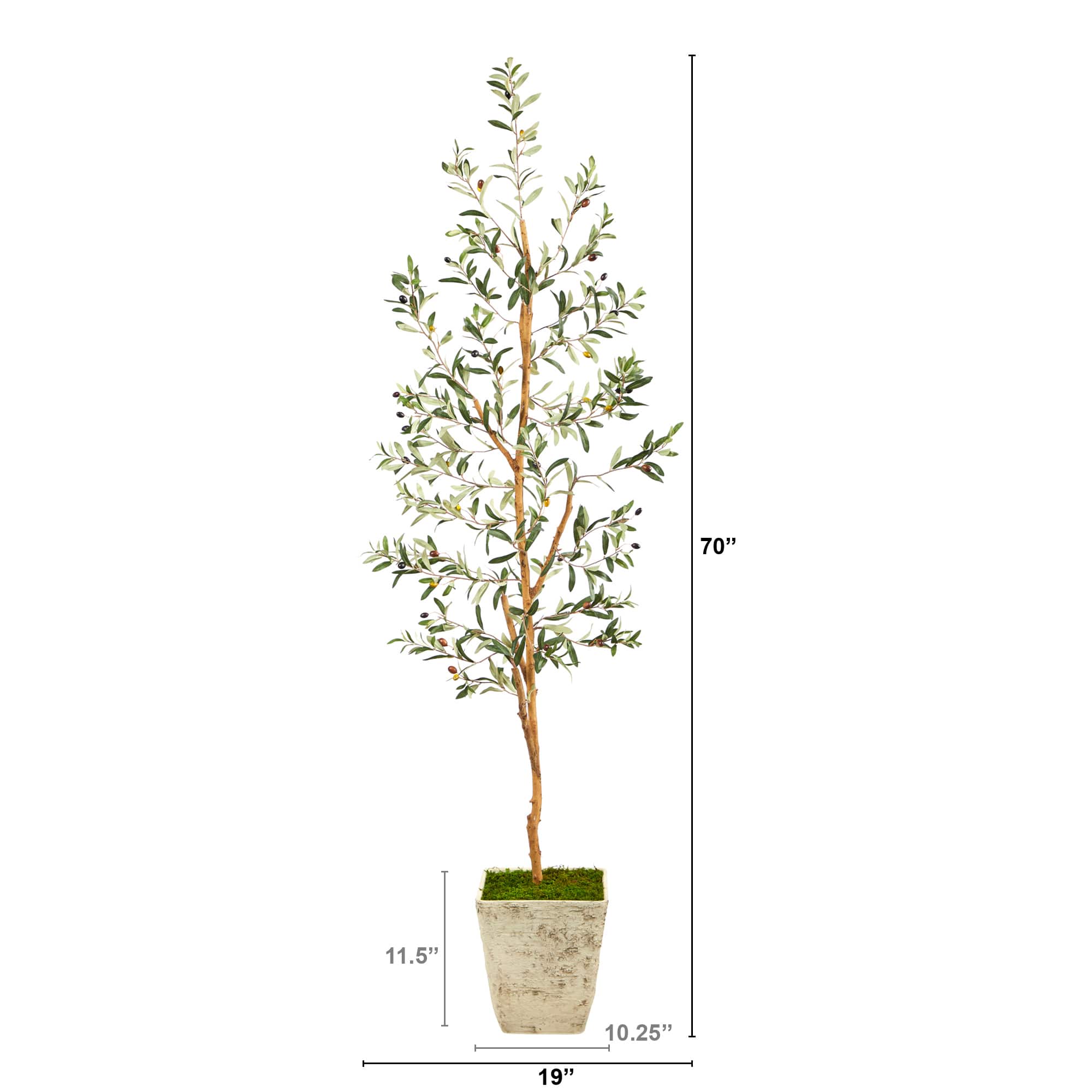 6ft. Olive Artificial Tree in Country White Planter